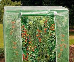 Auf unserer seite haben wir eine kleine auswahl an gewächshäusern für dich zusammengestellt. Tomatenhaus Gunstig Kaufen Oder Selber Bauen Gewachshaus Profi
