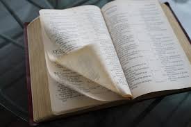 The book of jeremiah is one of the few that does, describing how jeremiah dictated the text to the scribe baruch. The Bible Old New Testament Books Letters Summary