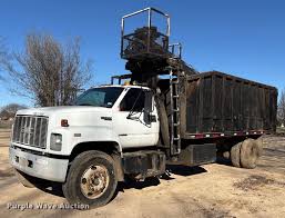 Image result for Cyclamen 1999 Truck