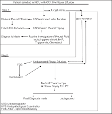 Pleural effusion causes, symptoms, diagnosis, treatment, pathology. A Stepwise Approach To The Etiologic Diagnosis Of Pleural Effusion In Respiratory Intensive Care Unit And Short Term Evaluation Of Treatment Chinchkar Nj Talwar D Jain Sk Lung India