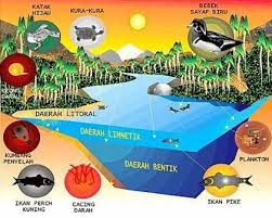 Macam Macam Ekosistem Perairan Akuatik Dan Ciri Cirinya Lengkap Di 2020 Ekosistem Sea World Air Tawar