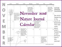 November Nature Journal Calendar Nature Journal Homeschool Nature Study Nature Study