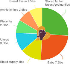 Pin On Maternity