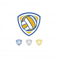 Władze klubów piłki ręcznej pge vive kielce oraz orlenu wisły płock zakomunikowały, że nie będą. Logo Pilki Recznej Premium Wektor
