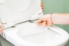 .de toilette (toilet water) is sometimes. Toilette Verstopft Ratgeber Losungen Tipps Obi