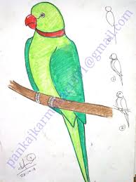 Easy Bird Drawing For Kids With Colour Very Easy Parrot Painting With Oil Pastel By Pankaj Karmakar Art Drawings For Kids Oil Pastel Drawings Easy Oil Pastel Drawings