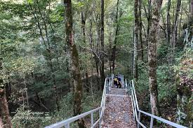 mammoth cave cedar sink stairs i love