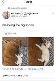 Big Spoon Memes Big Spoon Funny Pictures