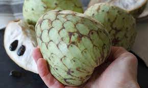Ripe cherimoya fruits see also: Cherimoya Annona Cherimola De