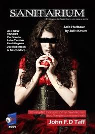 Sanitarium #9 by Barry Skelhorn