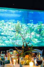A Gorgeous Wedding At The Nc Aquarium At Fort Fisher Courtesy Of Fiore Fine Flowers Aquarium Wedding Wedding Theme Inspiration Sea Wedding