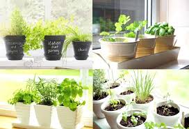 Even if you live in an apartment, condo, or living situation that doesn't come with a yard or garden space you can still cultivate your own herbs in the kitchen, a sunny window sill, or patio! Kitchen Herb Garden Ideas Carters Kitchenion Amazing Kitchen Designs