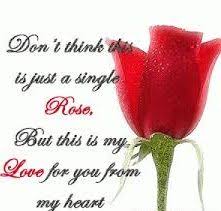 33 Happy Love Quotes With Images In Hindi Rose Love Quotes Rose Quotes Rose Romantic Quotes