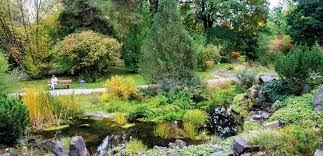 Die aufteilung des gartens richtet sich maßgeblich nach geografischen aspekten. Forschung Und Vergnugen Botanischer Garten Dresden Top Magazin Dresden