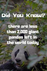 Great Pictures Endangered Species Facts Strategies Endangered Species Animal Planet Endangered Animals