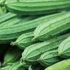 Ya, rasa sayur yang segar dan nikmat menjadi alasan kenapa sayur ini menjadi favorite. Https Encrypted Tbn0 Gstatic Com Images Q Tbn And9gcrsqe1mmdhjpq2oyybf7wsftupaq0dvk Nvflh6w24 Usqp Cau