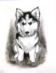 We did not find results for: Siberian Husky Puppy Drawing By Ben Soedjono