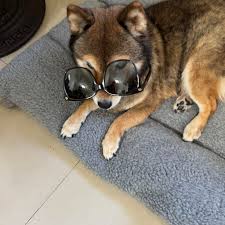 Profile for Nina Peng