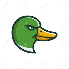 Angry Mallard Duck Head Illustration In Cartoon Comic Style Royalty Free Cliparts Vectors And Stock Illustration Image 84663573 Cartoon duck mallard duck mallard cartoon duck cartoon mallard cute character symbol ducks colorful cartoon characters cattle icon funny animal adorable sketch cartoons background farm. angry mallard duck head illustration in cartoon comic style