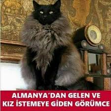 Sena Adli Kullanicinin Cabsler Panosundaki Pin Komik Komik Resimler Komik Seyler