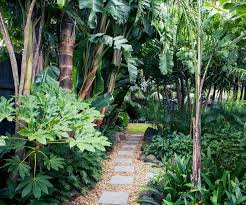 A Tropical Garden In The Heart Of Melbourne Tropical Garden Design Tropical Landscaping Tropical Backyard