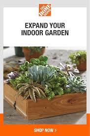 Clark usually is not in favor of using store credit cards because of the high interest rates and unfriendly terms. Pin On Garden Club