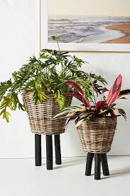 The right amount of water climbs into the soil, keeping your flowers and plants. Anthropologie Inspired Dipped Basket Planters With Legs