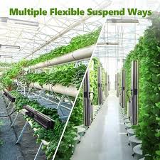 2.3umol/j+high ppfd+us local warehouse+discreet package. Sp150 Marshydrode