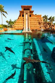 Enjoy 5 Days Of Saving And Discover Atlantis Bahamas Paradise Island Bahamas Bahamas Honeymoon Atlantis Bahamas