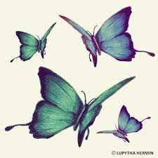 Pin By Marissa Rivera Davis On Birdy Things Butterfly Wings Butterfly Drawing Fly Drawing Butterflies Flying