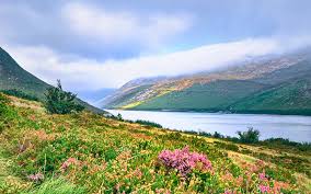 Frank smythe, eric shipton and rl holdsworth were a part of this team. Valley Of Flowers National Park Pictures Download Free Images On Unsplash
