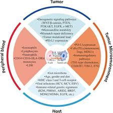 Cai a antiga e antiquada lei do cabo, que fornecia uma série de proibições para quem quisesse ter uma operadora de televisão desse tipo. Frontiers Prognostic Factors For Checkpoint Inhibitor Based Immunotherapy An Update With New Evidences Pharmacology