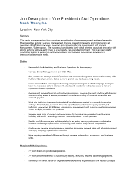 A promotions, marketing or advertising manager job description may be similar as they all revolve around media and usually deal with the planning of campaigns. Job Description Vice President Of Ad Operations