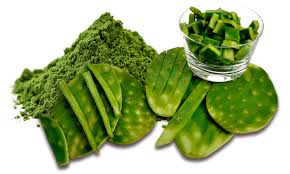Read below to find out! Los Beneficios Del Cactus Nopal Para La Salud Y La Belleza Periodico El Caribe Mereces Verdaderas Respuestas