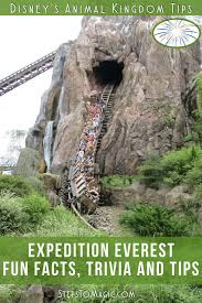 Fun Facts About Expedition Everest Animal Kingdom Disney Walt Disney World Vacations Disney Fun Facts
