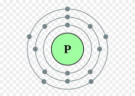 The products of the decay are nitrogen atoms and electrons (beta particles): Bohr Model Of A Phosphorus Atom Electron Configuration Of Sodium Free Transparent Png Clipart Images Download