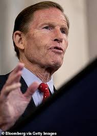 Four elite gymnasts call