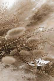 Feel free to send us your own wallpaper. Wallpaper Beige Aesthetic Beige Wallpaper Wallpapers Vintage