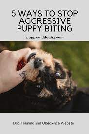 Everyone Loves A Puppy But One That Undertakes Out Aggressive Puppy Biting Is Not Much Fun This Article Show Dog Training Obedience Puppy Biting Dog Training