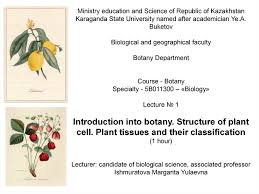 Maybe you would like to learn more about one of these? Introduction Into Botany Structure Of Plant Cell Plant Tissues And Their Classification Prezentaciya Onlajn