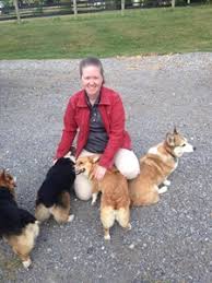 Pet health cats dogs articles are human shampoos safe for pets? About Us Peaceful Pet Passage Mechanicsburg Pa