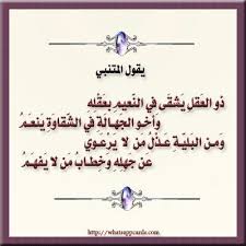من شعر أبو الطيب المتنبي Arabic Poetry Arabic Quotes Hair Accessories