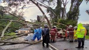 Check spelling or type a new query. Warga Emas Maut Dihempap Pokok Di Tanjung Malim Pak Din