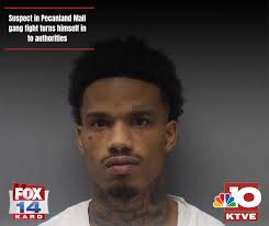 On February 26, 2025, a suspect in the Hibbett Sports and Pecanland Mall  "Gang" fights turned himself in to the Monroe Police Department.  25-year-old Rayshawn Hollins was booked into the Ouachita Correctional