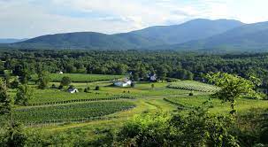 Monticello Wine Trail Wine Trail Wine Tour