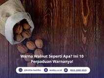 Warna Walnut Seperti Apa? Ini 10 Perpaduan Warnanya!