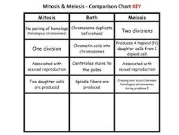 Mitosis Vs Meiosis Card Sort