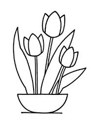 Ausmalbild Tulpen Zum Ausdrucken Und Ausmalen Ausmalbilder Malvorlagen Kindergarten Blumen In 2020 Malvorlagen Blumen Malvorlagen Fur Kinder Ausmalbilder