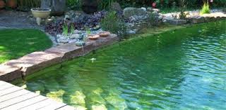 Als spezialist und fachunternehmer für die individuelle gartengestaltung bieten wir planung, ausführung und. Seydell Garten Und Landschaftsbau In Karlsruhe Garten Landschaftsbau Naturschwimmbecken Schwimmteich