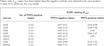 Subterranea, the causal agent of powdery scab. Detection Of Pmtv By Elisa In Tubers Of Cp Transgenic Am Saturna Download Table